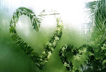 Rocket Launch Today: What's Launching, When, and the Incredible Vision Taking Us to the Stars