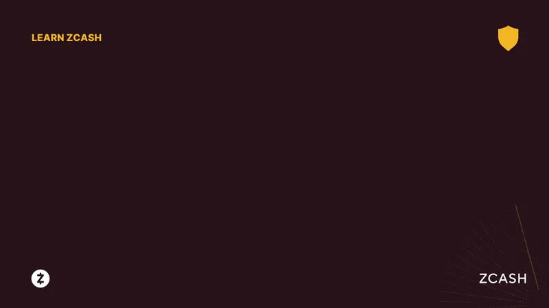 Zcash's Sudden Price Jump: The Real News vs. the Reddit Hype